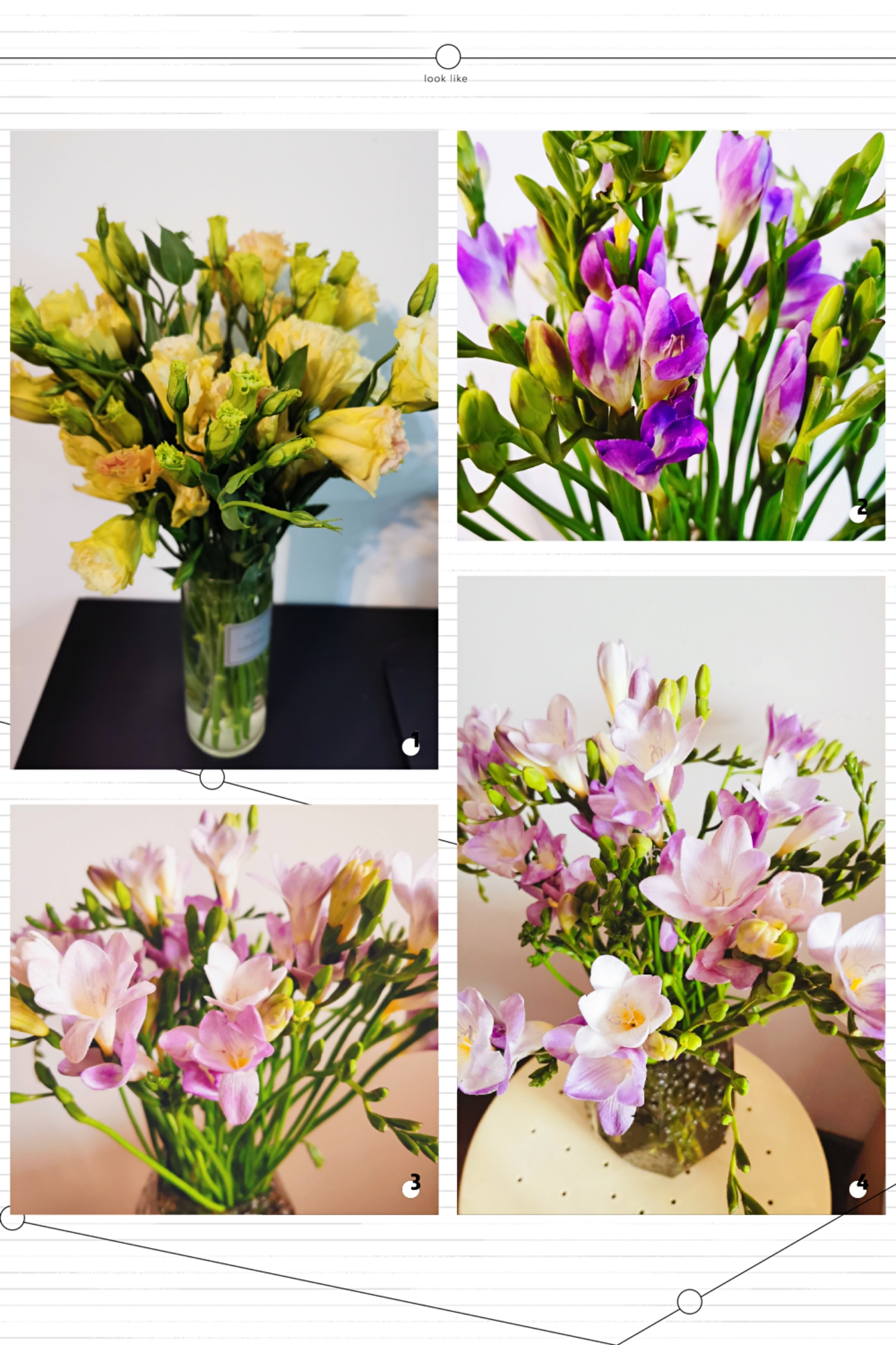 Happy Women’s Day | 戰疫時期，這個三八節，我們“e”起過！